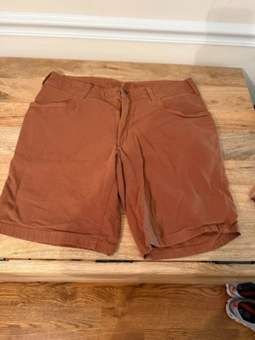 The Northface Men's Hiking Shorts